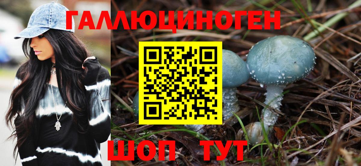 Галлюциногенные грибы мухоморы  Галлюциногенные грибы GOLDEN TEACHER  Торжок  Вход с VPN 