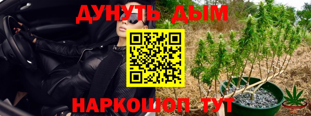 Шишки марихуана Bruce Banner  Канабис ГИДРОПОН  Вход с VPN  Каннабис OG Kush  Торжок  Бошки Шишки семена 