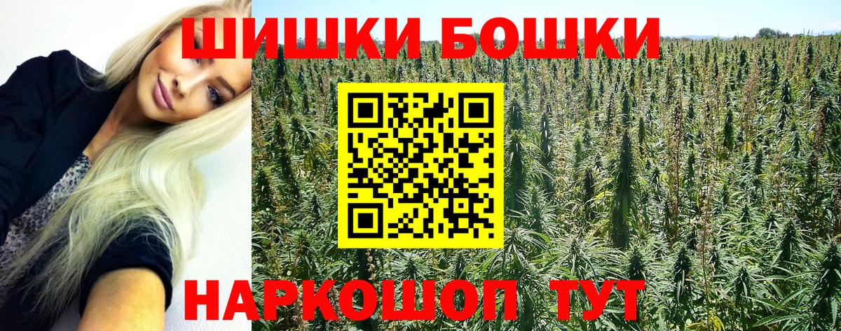 Бошки Шишки гибрид Торжок